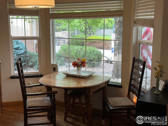 205 Timber Ridge Ct, Severance, CO 80550 - dining room featuring plenty of natural light and wood finished floors