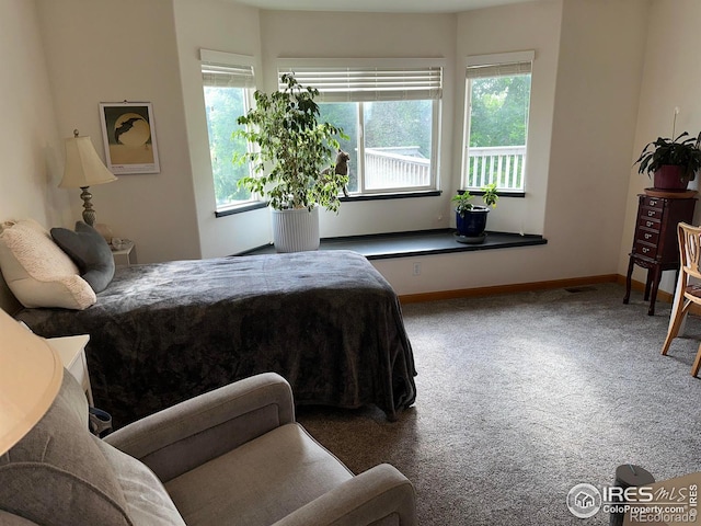 205 Timber Ridge Ct, Severance, CO 80550 - bedroom with carpet floors and baseboards