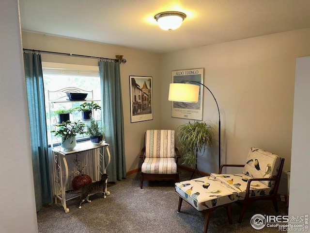 205 Timber Ridge Ct, Severance, CO 80550 - sitting room with carpet
