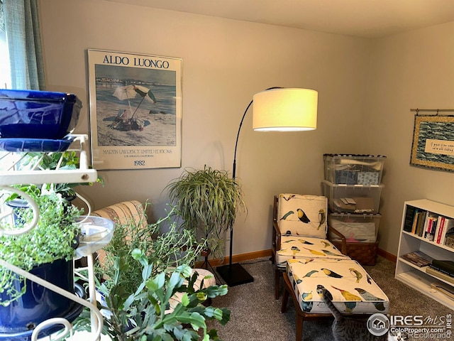 205 Timber Ridge Ct, Severance, CO 80550 - sitting room featuring carpet flooring