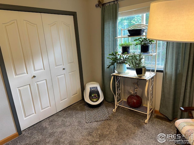 205 Timber Ridge Ct, Severance, CO 80550 - bedroom featuring carpet floors and a closet