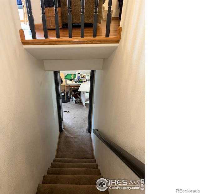 205 Timber Ridge Ct, Severance, CO 80550 - stairs with carpet