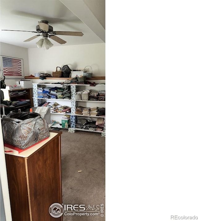 205 Timber Ridge Ct, Severance, CO 80550 - storage area featuring a ceiling fan