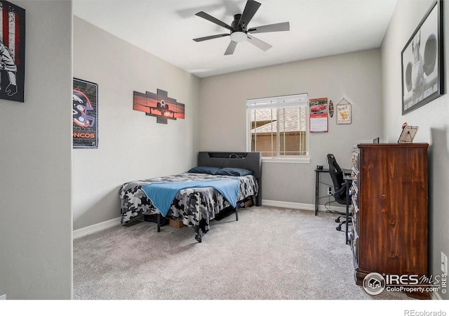 4379 Lemon Grass Dr, Johnstown, CO 80534 - photo 25