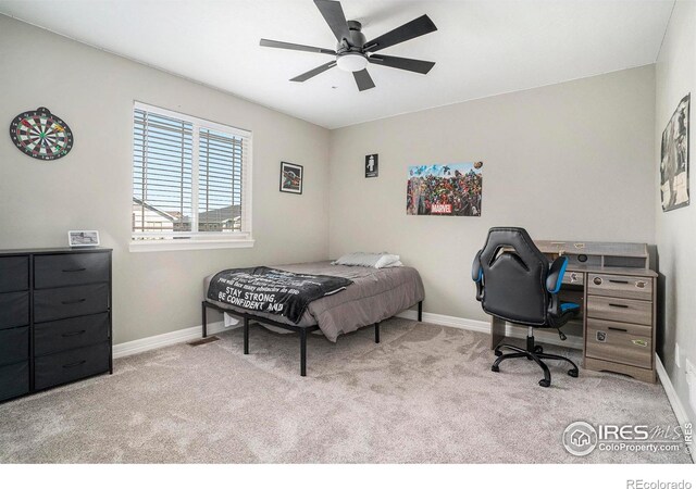 4379 Lemon Grass Dr, Johnstown, CO 80534 - photo 23