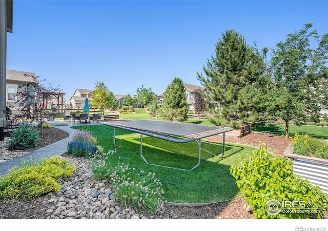 4379 Lemon Grass Dr, Johnstown, CO 80534 - photo 32