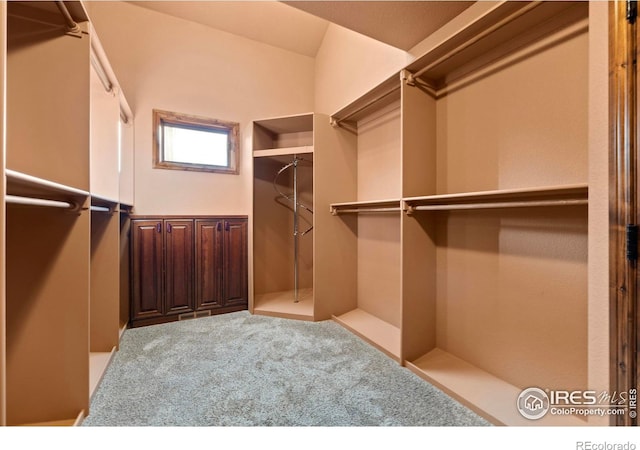 1740 N Ridge Ln, Estes Park, CO 80517 - walk in closet with carpet