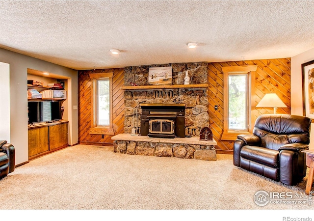 332 N Madison Ave, Loveland, CO 80537 - photo 13