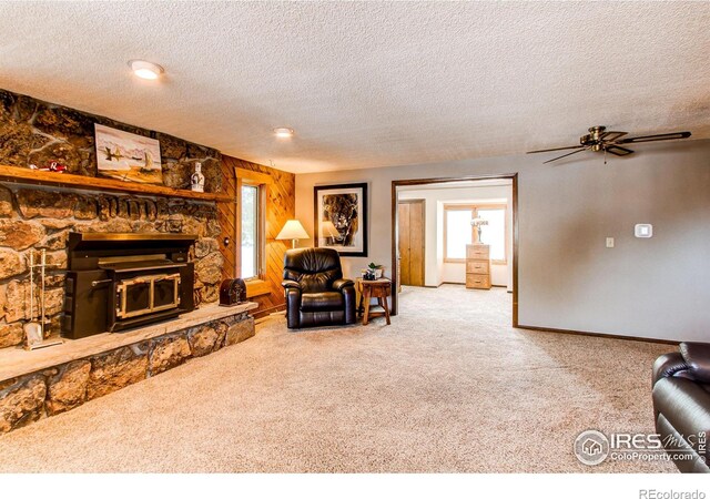 332 N Madison Ave, Loveland, CO 80537 - photo 14
