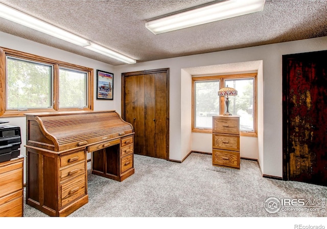 332 N Madison Ave, Loveland, CO 80537 - photo 15