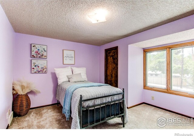 332 N Madison Ave, Loveland, CO 80537 - photo 20