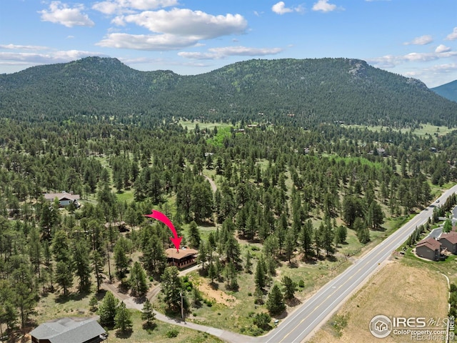 1650 Powelly Ln, Estes Park, CO 80517 - view of mountain background featuring a forest
