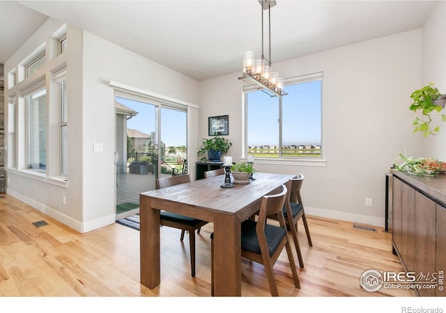1217 Baldridge Dr, Severance, CO 80615 - photo 15
