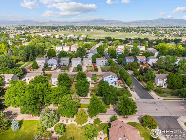 6809 Brittany Dr, Fort Collins, CO 80525 - photo 33