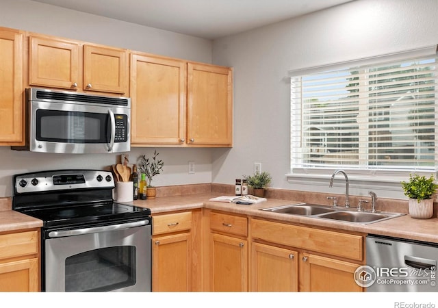 6809 Brittany Dr, Fort Collins, CO 80525 - photo 16