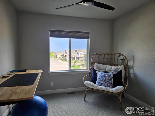 6240 Vernazza Way Unit 3, Windsor, CO 80550 - photo 6