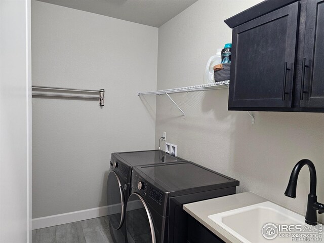 6240 Vernazza Way Unit 3, Windsor, CO 80550 - photo 8
