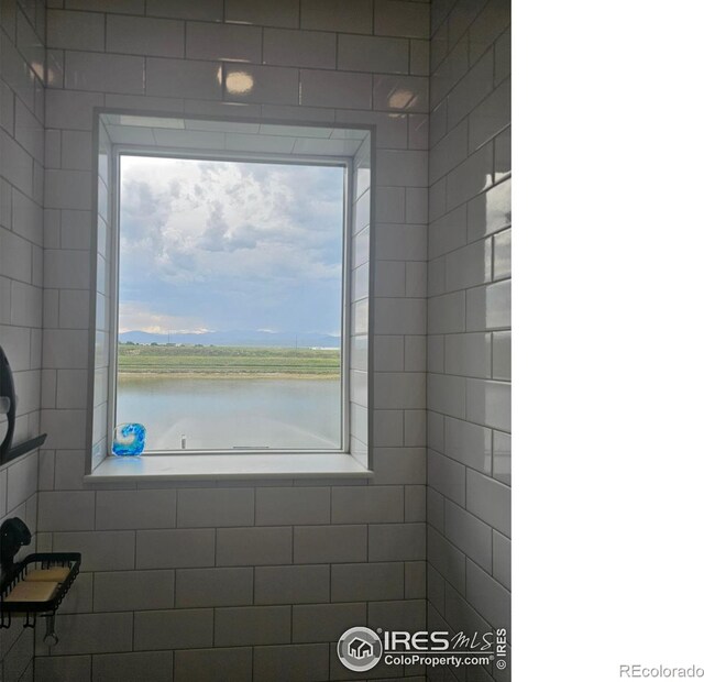 6240 Vernazza Way Unit 3, Windsor, CO 80550 - photo 4