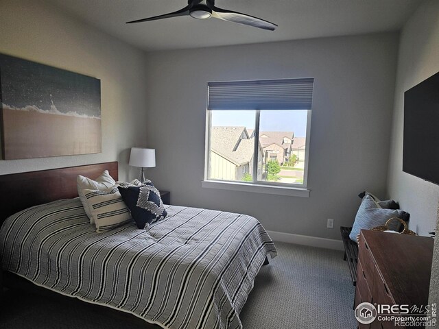 6240 Vernazza Way Unit 3, Windsor, CO 80550 - photo 5