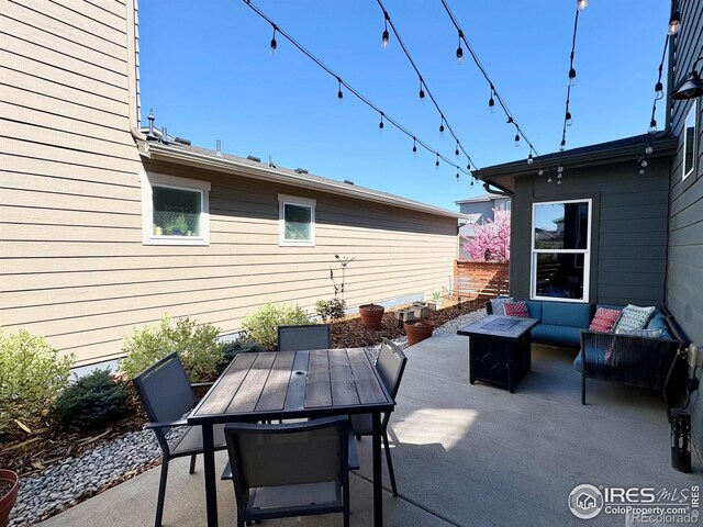 3014 Sykes Dr, Fort Collins, CO 80524 - photo 10