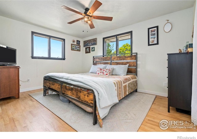 7423 Saulsbury St, Arvada, CO 80003 - bedroom with multiple windows, light wood finished floors, and ceiling fan