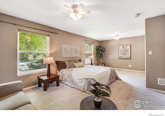 2213 Hiawatha Ct, Fort Collins, CO 80525 - carpeted bedroom with multiple windows