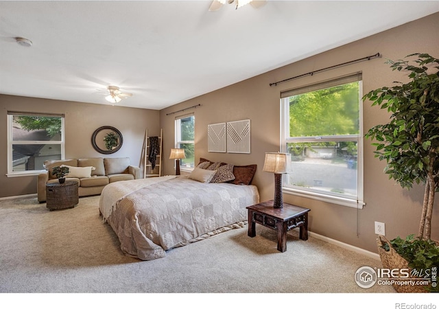 2213 Hiawatha Ct, Fort Collins, CO 80525 - carpeted bedroom with multiple windows and ceiling fan