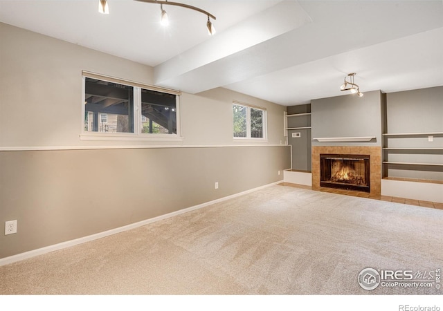 2213 Hiawatha Ct, Fort Collins, CO 80525 - basement featuring carpet floors and a fireplace
