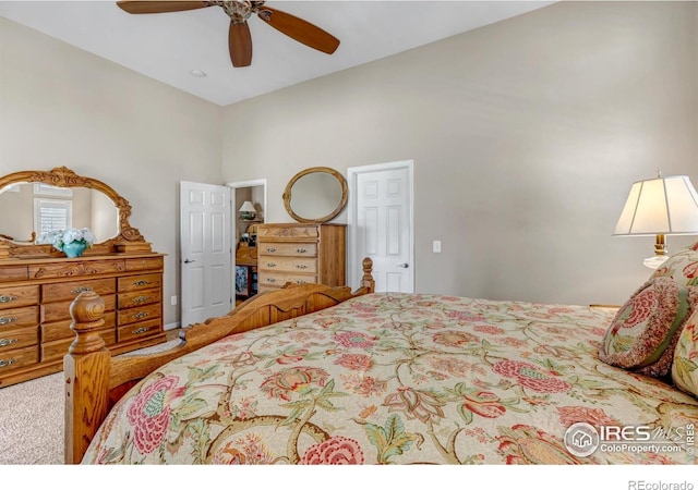 3545 Cottonwood Cir, Frederick, CO 80504 - photo 24