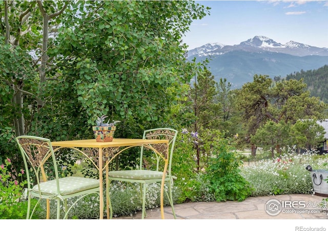 2055 Siskin Dr, Estes Park, CO 80517 - view of mountain backdrop