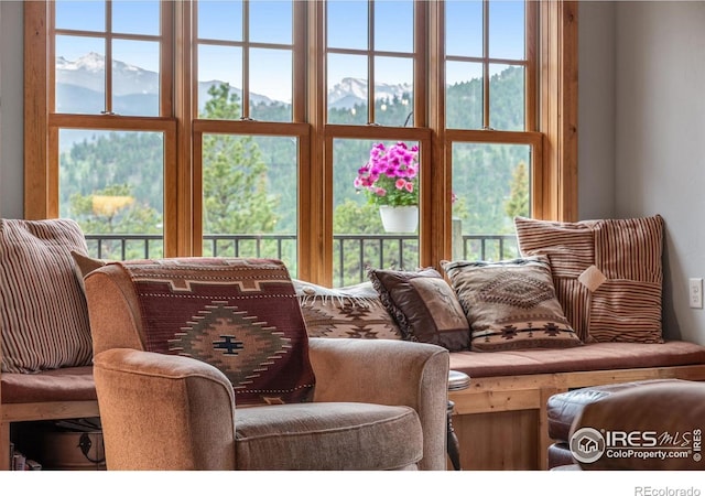 2055 Siskin Dr, Estes Park, CO 80517 - view of living room