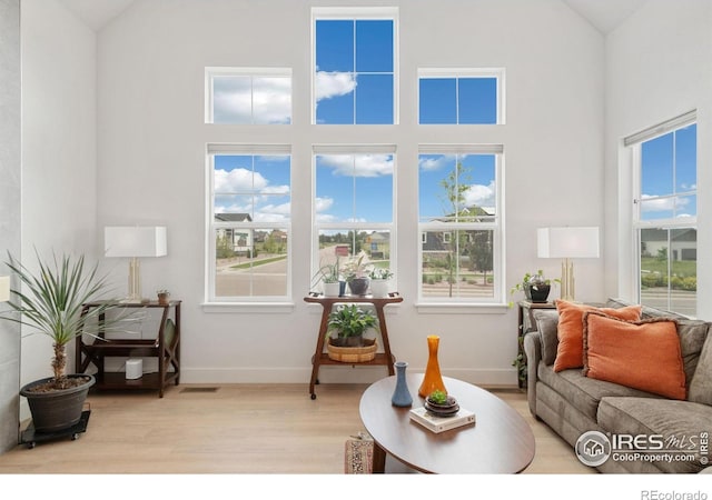 1911 Morningstar Way Unit 2, Fort Collins, CO 80524 - living room with wood finished floors, high vaulted ceiling, and healthy amount of natural light