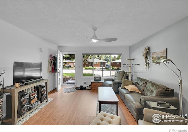 1210 Gard Pl, Loveland, CO 80537 - photo 5