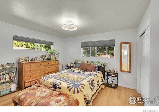 1210 Gard Pl, Loveland, CO 80537 - photo 6