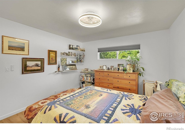 1210 Gard Pl, Loveland, CO 80537 - photo 8