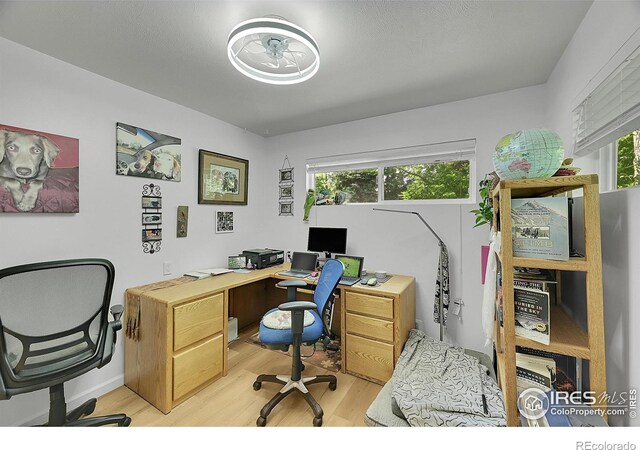 1210 Gard Pl, Loveland, CO 80537 - photo 11