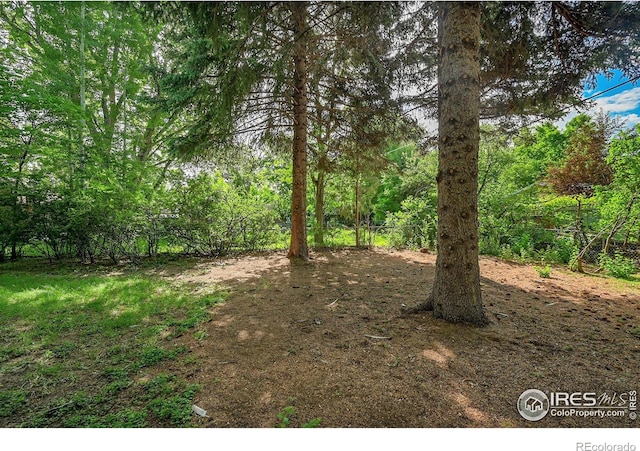 1210 Gard Pl, Loveland, CO 80537 - photo 30