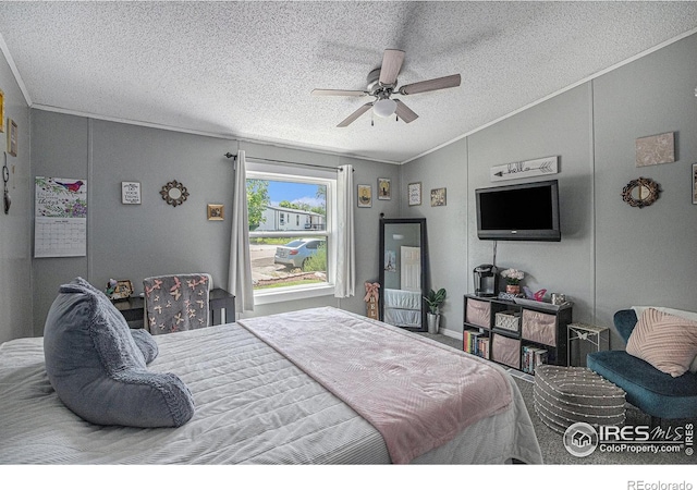 4215 N Shenandoah St, Greeley, CO 80634 - photo 17