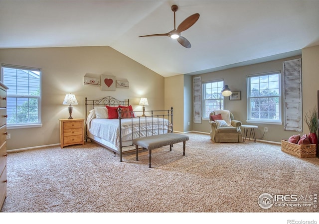 3245 Grand Canyon St, Fort Collins, CO 80525 - photo 17