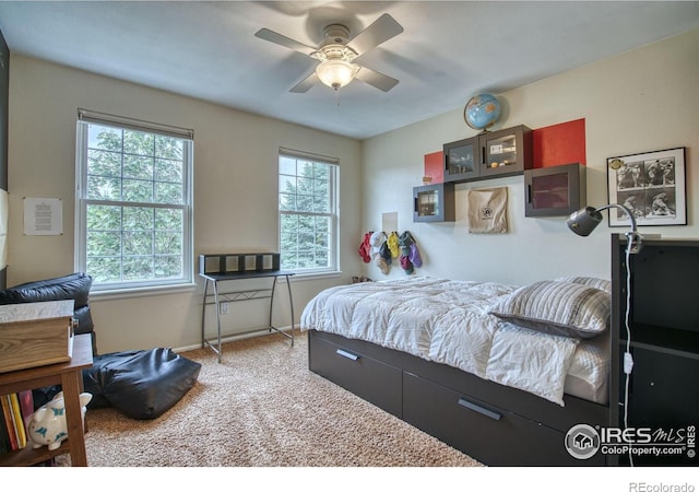 3245 Grand Canyon St, Fort Collins, CO 80525 - photo 23