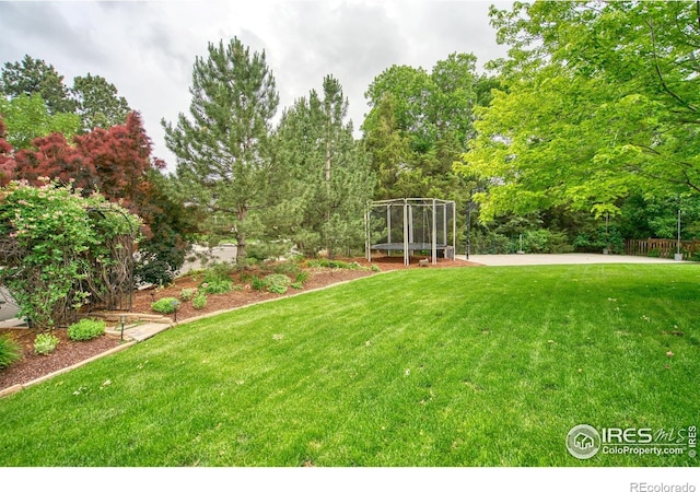 3245 Grand Canyon St, Fort Collins, CO 80525 - photo 36