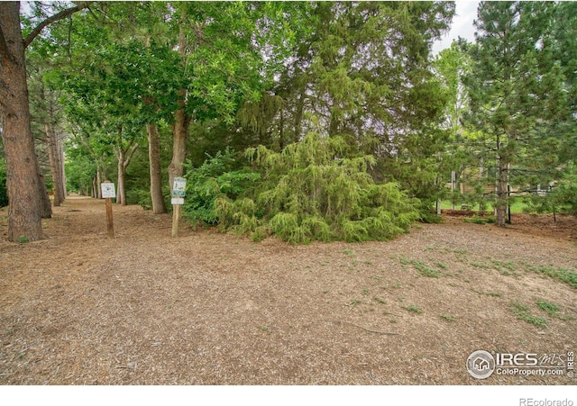 3245 Grand Canyon St, Fort Collins, CO 80525 - photo 37