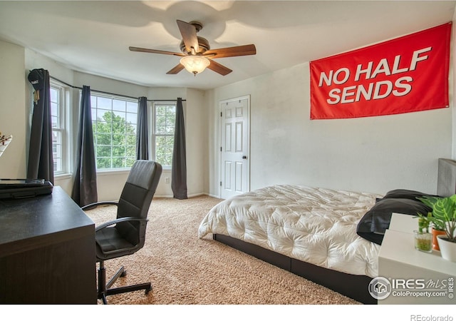 3245 Grand Canyon St, Fort Collins, CO 80525 - photo 24