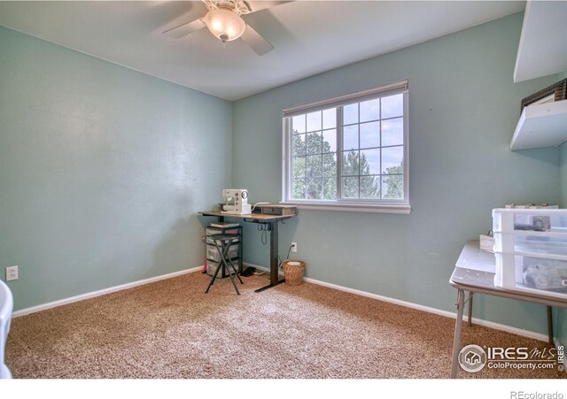 3245 Grand Canyon St, Fort Collins, CO 80525 - photo 25