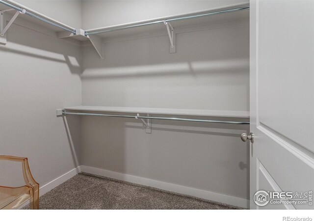 330 High Point Dr Unit 104, Longmont, CO 80504