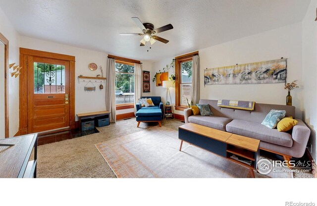 739 Washington Ave, Loveland, CO 80537 - photo 5