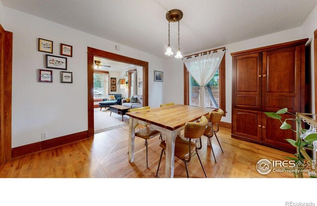 739 Washington Ave, Loveland, CO 80537 - photo 7
