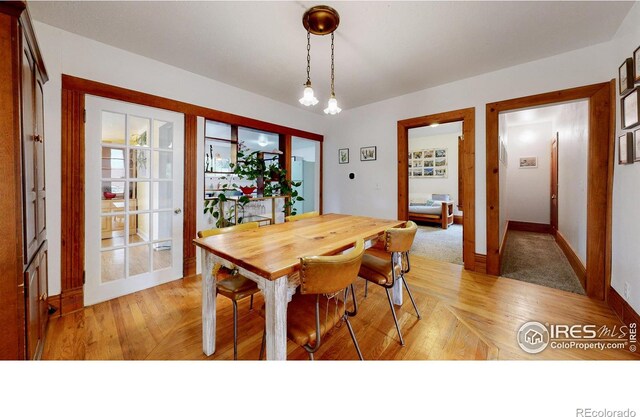 739 Washington Ave, Loveland, CO 80537 - photo 9