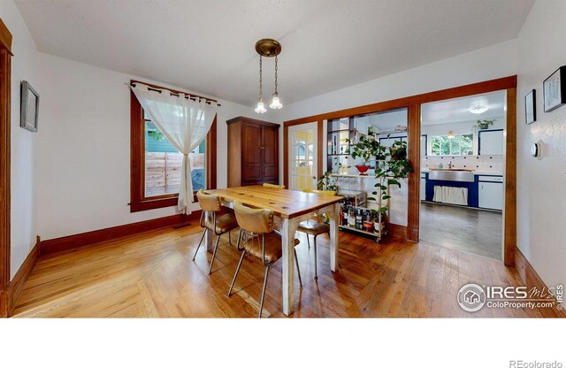739 Washington Ave, Loveland, CO 80537 - photo 13