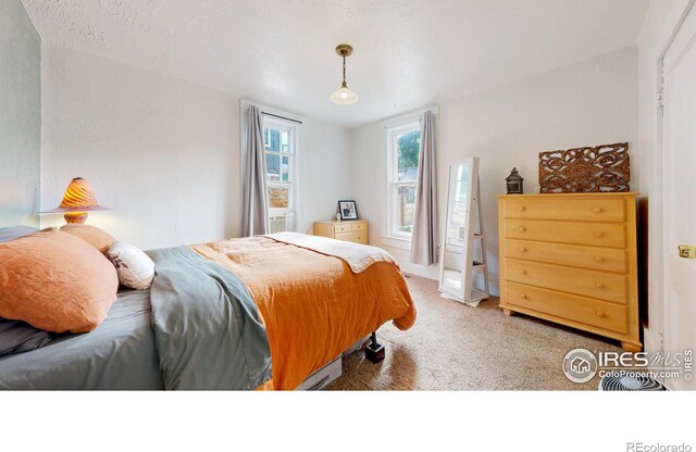 739 Washington Ave, Loveland, CO 80537 - photo 15
